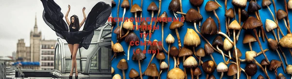 мяу мяу кристалл Сосновоборск