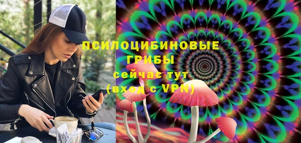 PSILOCYBIN Беломорск