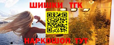 индика Аргун