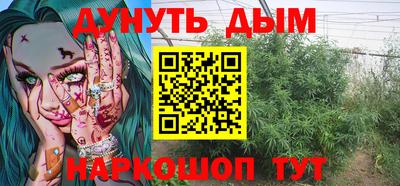 индика Аргун