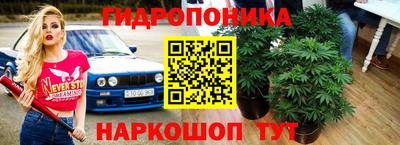 ГАЛЛЮЦИНОГЕННЫЕ ГРИБЫ Азнакаево