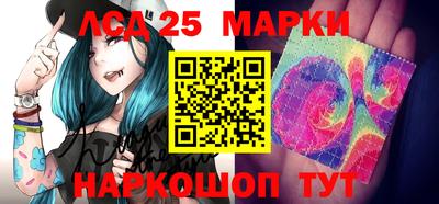 индика Аргун