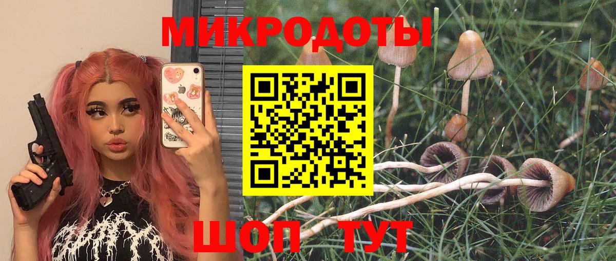 Галлюциногенные грибы GOLDEN TEACHER  Вход с VPN  Бийск 